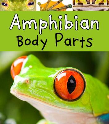 Amphibian Body Parts - Lewis, Clare