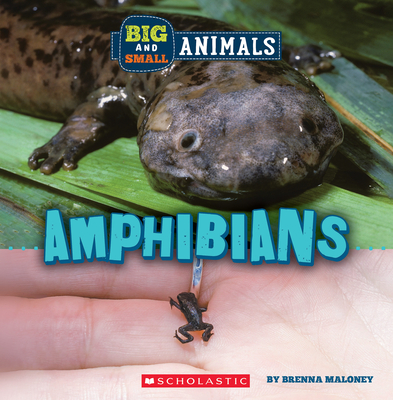 Amphibians (Wild World: Big and Small Animals) - Maloney, Brenna