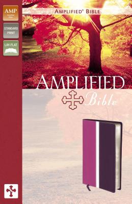 Amplified Bible-Am - Zondervan