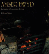 Amser Bwyd: Detholiad o Gyfarwyddiadan Cymreig - Tibbott, S.Minwel