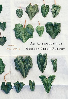 An Anthology of Modern Irish Poetry - Davis, Wes (Editor)