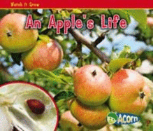 An Apple's Life