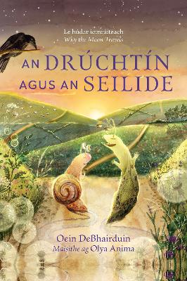 An Drchtn agus an Seilide - DeBhairduin, Oein