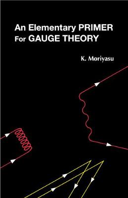 An Elementary Primer for Gauge Theory - Moriyasu, K