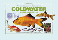 An Essential Guide to Choosing Your Coldwater Aquarium Fish