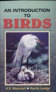 An Introduction to Birds