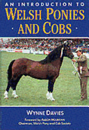 An Introduction to Welsh Ponies & Cob - Davies, Wynne