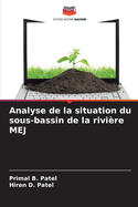 Analyse de la situation du sous-bassin de la rivi?re MEJ