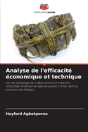 Analyse de l'efficacit? ?conomique et technique