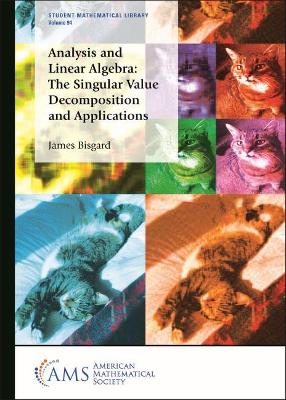 Analysis and Linear Algebra: The Singular Value Decomposition and Applications - Bisgard, James