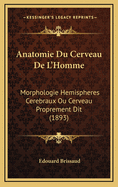 Anatomie Du Cerveau de L'Homme: Morphologie Hemispheres Cerebraux Ou Cerveau Proprement Dit (1893)