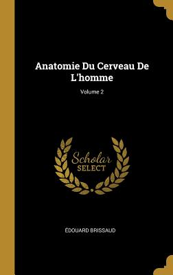 Anatomie Du Cerveau De L'homme; Volume 2 - Brissaud, douard