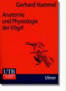 Anatomie Und Physiologie Der Vgel