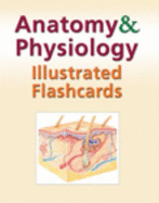 Anatomy and Physiology Illustrated Flashcards