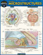 Anatomy Microstructures: A Quickstudy Laminated Reference Guide