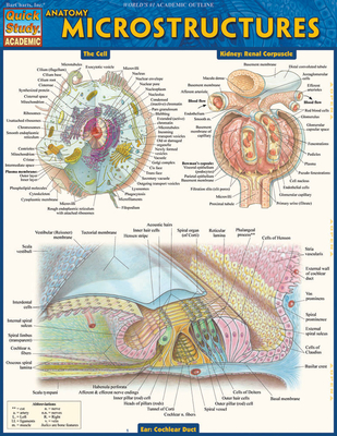 Anatomy: Microstructures - Perez, Vincent