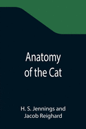 Anatomy of the Cat