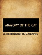 Anayomy of the Cat