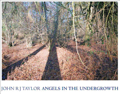 Angels In The Undergrowth - Gray, Phil (Editor), and Taylor, John R. J.