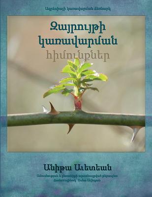 Anger Management Essentials in Armenian - Avedian, Anita, and Akiskal MD, Hagop (Foreword by), and Galstyan, Hasmik (Translated by)