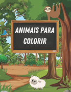 Animais do Zoo para pintar