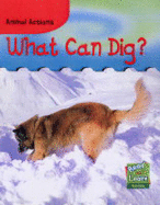 Animal Actions What Can Dig?