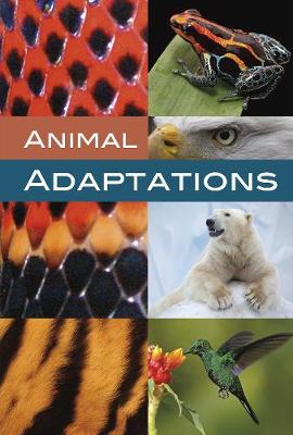 Animal Adaptations - Bjorklund, Ruth