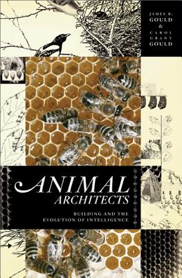 Animal Architects: Building and the Evolution of Intelligence - Gould, James L, and Gould, Carol Grant