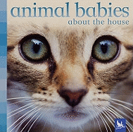 Animal Babies About the House