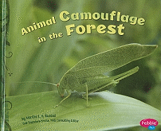 Animal Camouflage in the Forest