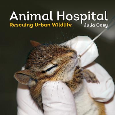 Animal Hospital: Rescuing Urban Wildlife - Coey, Julia