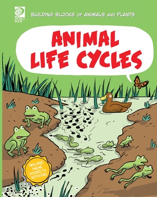 Animal Life Cycles - Midthun, Joseph