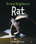 Animal Neighbours: Animal Neighbours: Rat