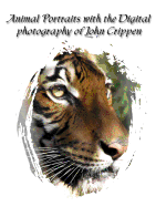 Animal Portraits with the Digital Photography of John Crippen: Learning Photography with Animals