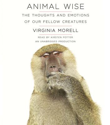 Animal Wise: The Thoughts and Emotions of Our Fellow Creatures - Morell, Virginia, and Potter, Kirsten (Read by)