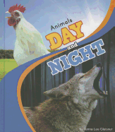 Animals Day and Night