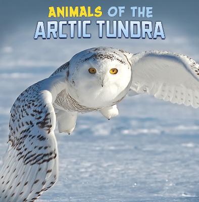Animals of the Arctic Tundra - Rustad, Martha E. H.