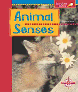 Animals Senses