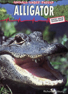 Animals Under Threat: Alligator