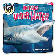 Animals Under Water