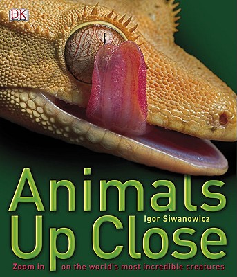 Animals Up Close: Zoom in on the World's Most Incredible Creatures - Siwanowicz, Igor (Photographer)