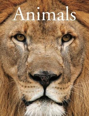 Animals - Alderton, David