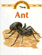 Ant - Savage, Stephen
