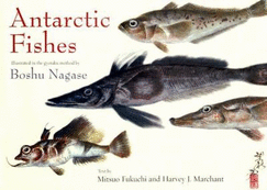 Antarctic Fishes - Marchant, Harvey J, Professor, and Fukuchi, Mitsuo, Dr.