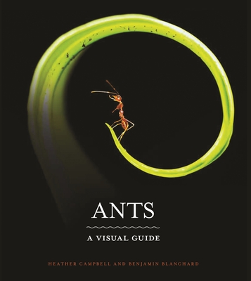 Ants: A Visual Guide - Campbell, Heather, and Blanchard, Benjamin