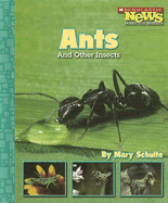 Ants and Other Insects - Schulte, Mary Knudson