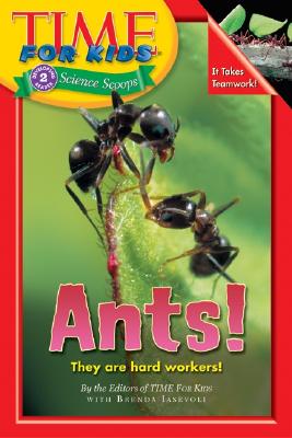 Ants! - Time for Kids Magazine, and Iasevoli, Brenda