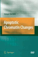 Apoptotic Chromatin Changes