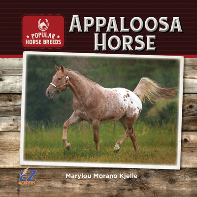 Appaloosa Horse - Kjelle, Marylou Morano