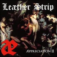 Appreciation II - Leather Strip